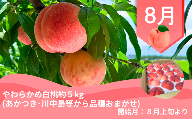 【定期便4回】やまがた郷土フルーツ定期便A FY25-342
