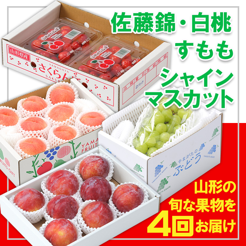 【定期便4回】☆フルーツ王国山形☆『佐藤錦、白桃、すもも、シャインマスカット』 FY25-311