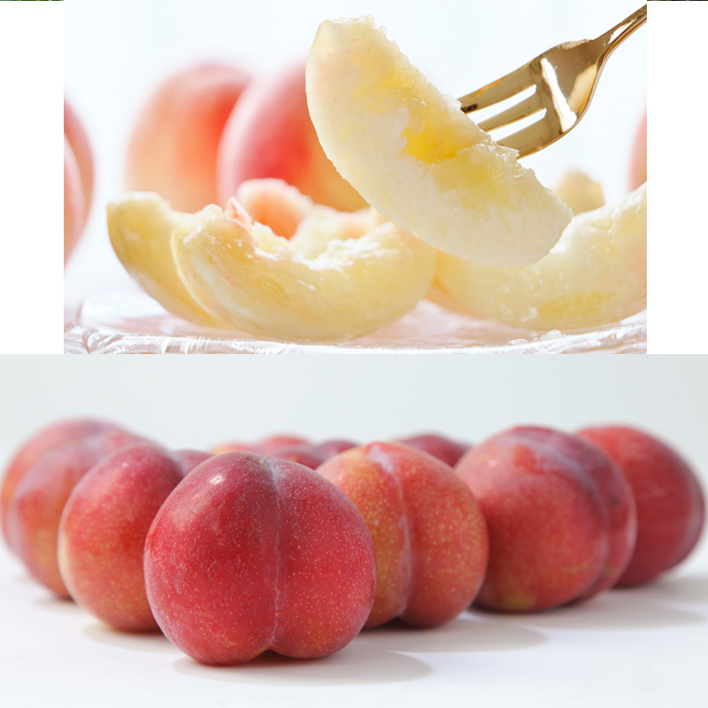 【定期便4回】☆フルーツ王国山形☆『佐藤錦、白桃、すもも、シャインマスカット』 FY25-311