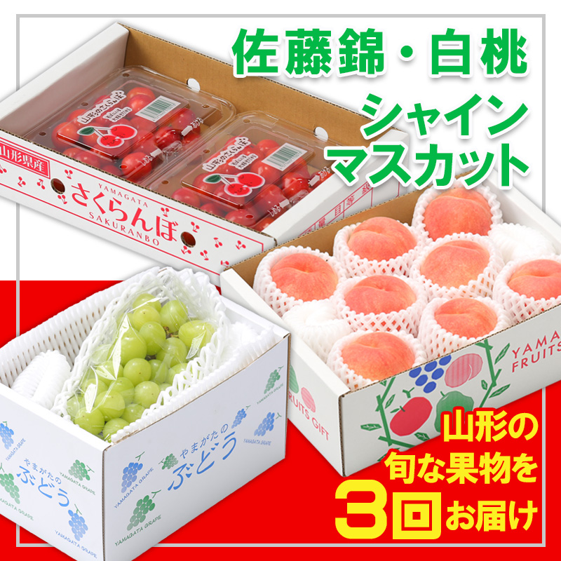 【定期便3回】☆フルーツ王国山形☆『佐藤錦、白桃、シャインマスカット』 FY25-313