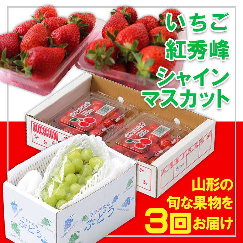 【定期便3回】☆フルーツ王国山形☆『いちご、紅秀峰、シャインマスカット』 FY25-316