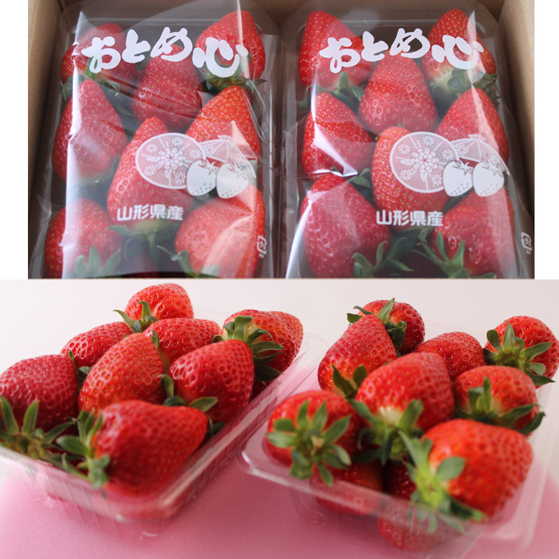 【定期便3回】☆フルーツ王国山形☆『いちご、紅秀峰、シャインマスカット』 FY25-316