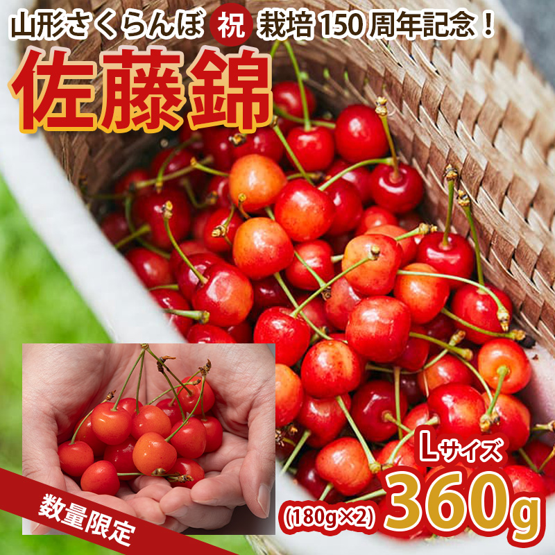 山形さくらんぼ (祝)栽培150周年記念！佐藤錦 360g（180g×2パック） L玉 数量限定！【令和8年産先行予約】FS25-061