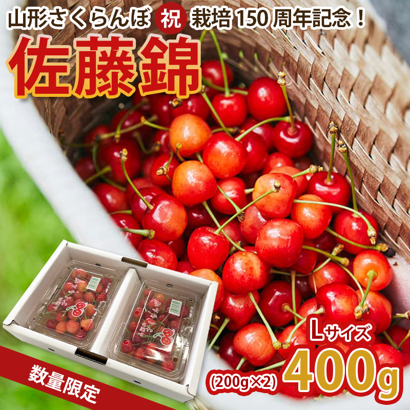 山形さくらんぼ (祝)栽培150周年記念！佐藤錦 400g(200g×2パック) L玉 数量限定！【令和8年産先行予約】FS25-067