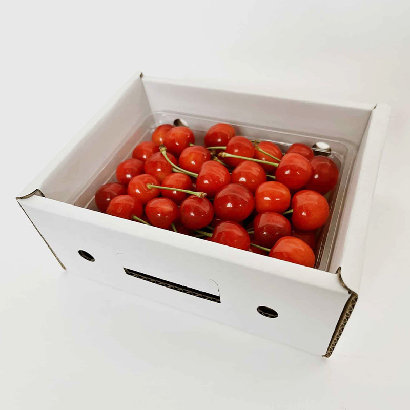 山形さくらんぼ (祝)栽培150周年記念！佐藤錦 500g L玉 数量限定！【令和8年産先行予約】FS25-068