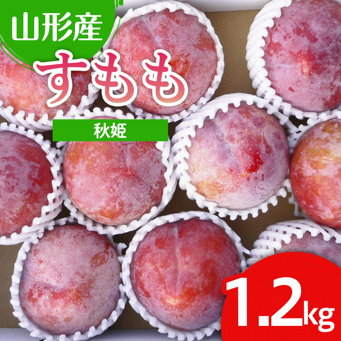 山形市産 すもも(秋姫) 1.2kg(7～12玉）【令和8年産先行予約】FU22-026