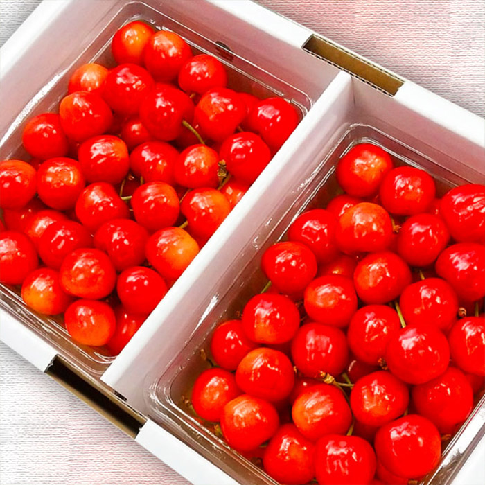 【定期便3回】山形市の至高！山形市厳選フルーツ定期便【令和8年産先行予約】FS24-587