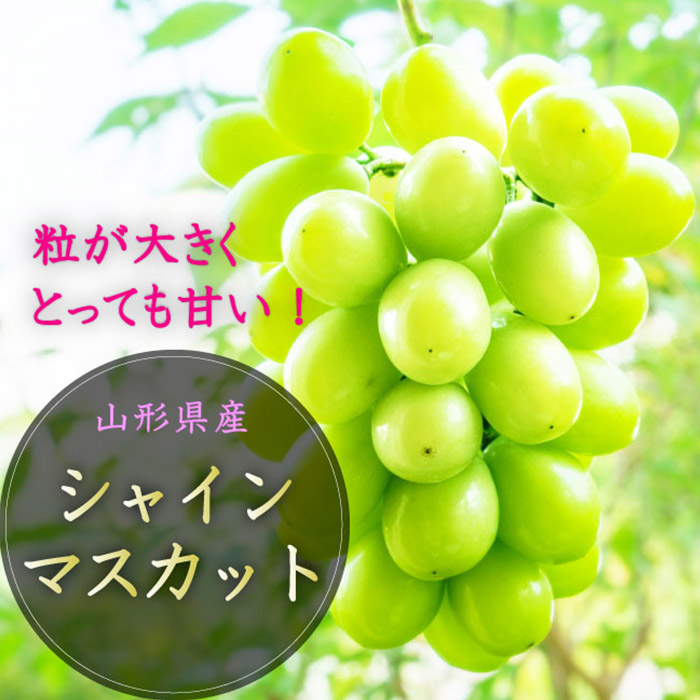 【定期便3回】山形市の至高！山形市厳選フルーツ定期便【令和8年産先行予約】FS24-587
