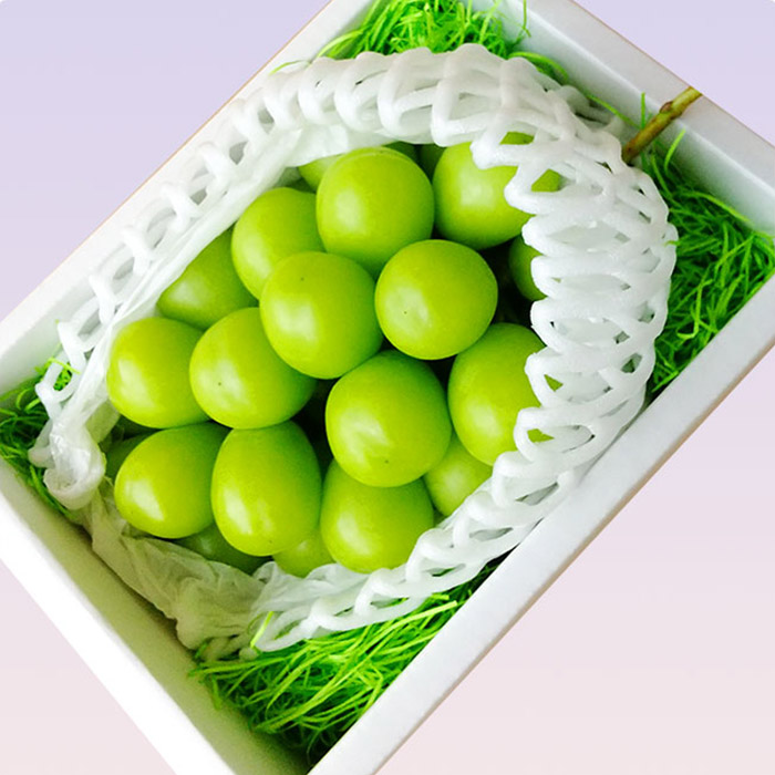 【定期便3回】山形市の至高！山形市厳選フルーツ定期便【令和8年産先行予約】FS24-587