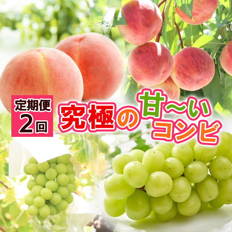 【定期便2回】究極の 甘～いコンビ【令和8年産先行予約】FS24-795