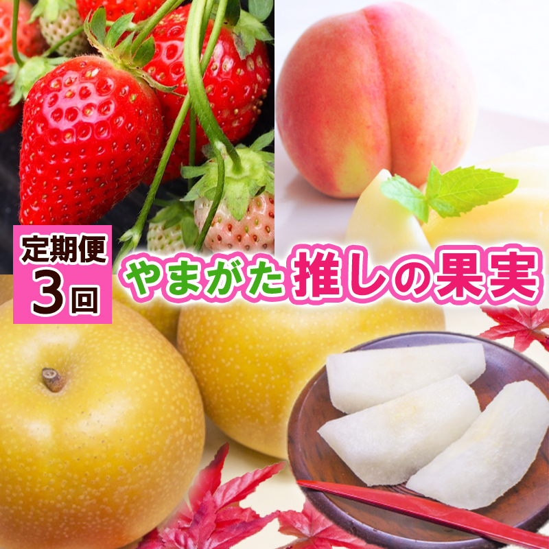 【定期便3回】やまがた 推しの果実【令和8年産先行予約】FS24-741