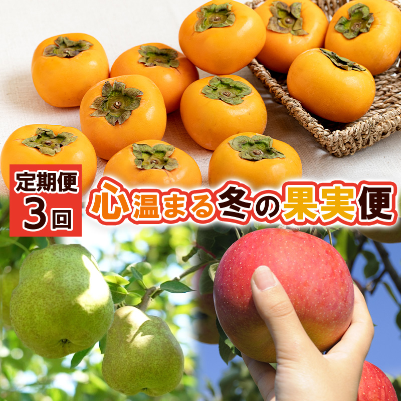 【定期便3回】心温まる冬の果実便【令和8年産先行予約】FS24-793