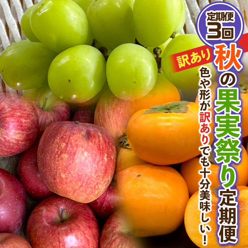 【定期便3回】★訳あり★秋の果実祭り定期便 色や形が訳ありでも十分美味しい！シャインマスカット・柿・りんご【令和8年産先行予約】FS24-814