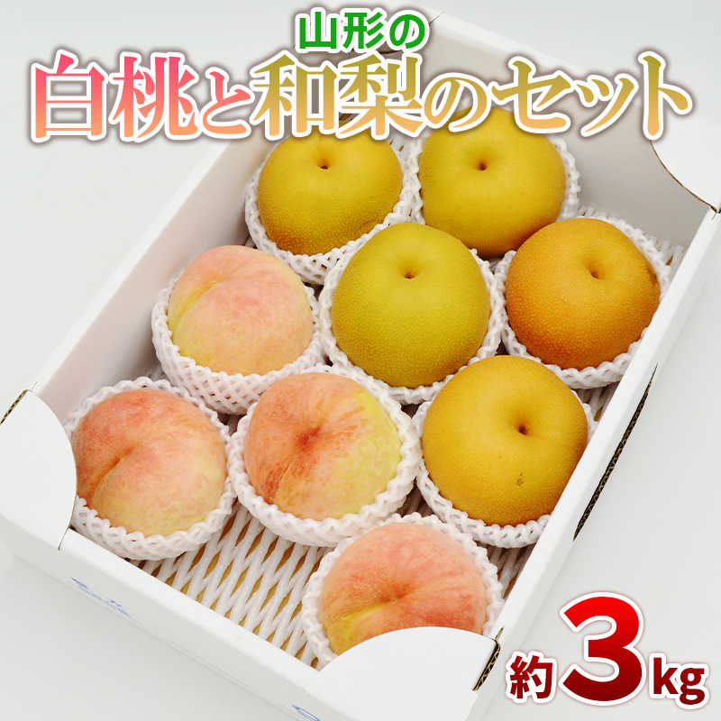 白桃と和梨の詰合せ 秀品 約3kg(6～12玉)【令和8年産先行予約】FS24-817