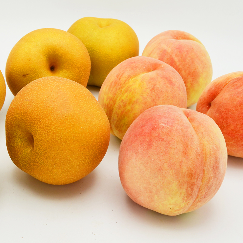 白桃と和梨の詰合せ 秀品 約3kg(6～12玉)【令和8年産先行予約】FS24-817