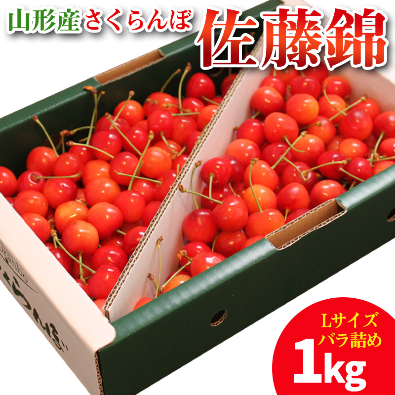 山形産 さくらんぼ 佐藤錦 1kg Lサイズ バラ詰め 【令和8年産先行予約】FS25-704