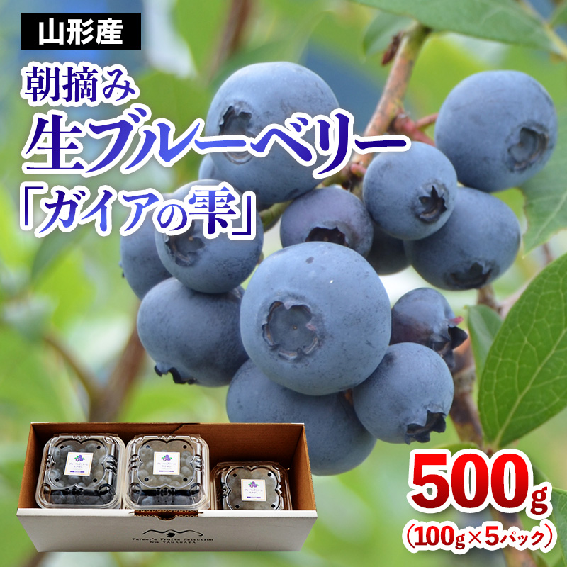 山形の朝摘み生ブルーベリー「ガイアの雫」500g(100g×5パック) 【令和8年産先行予約】FS25-705