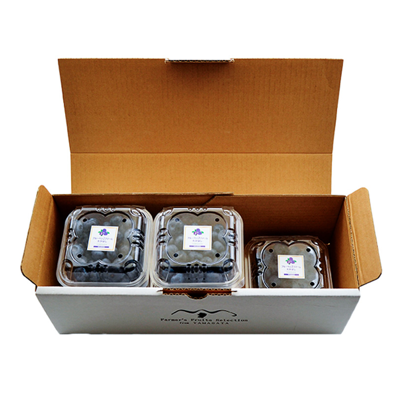 å±±åœ¢ã®ææã¿çãã«ãŒããªãŒãã¬ã€ã¢ã®é«ã500g(100gÃ5ããã¯) ã什å8幎ç£å
è¡äºçŽãFS25-705