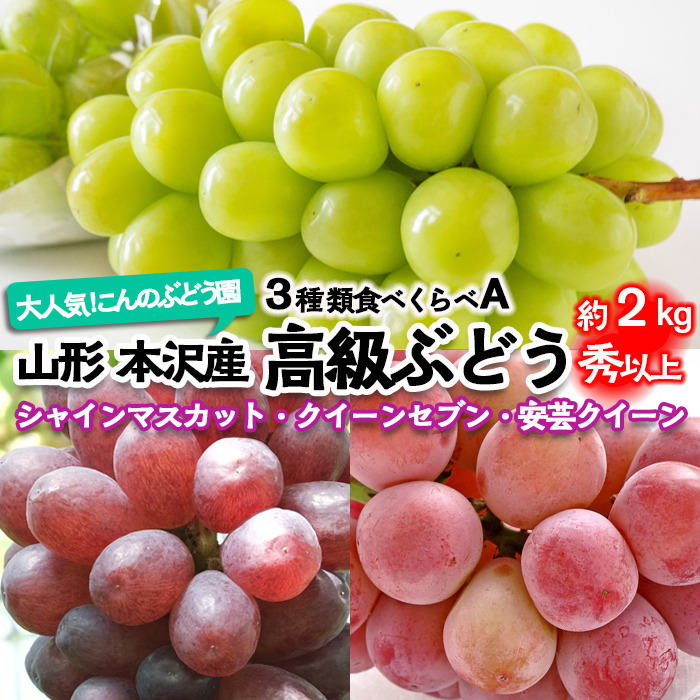 大人気！【こんのぶどう園】山形本沢産 高級ぶどう 3種食べくらべA 秀以上 約2kg 【令和8年産先行予約】FU22-339