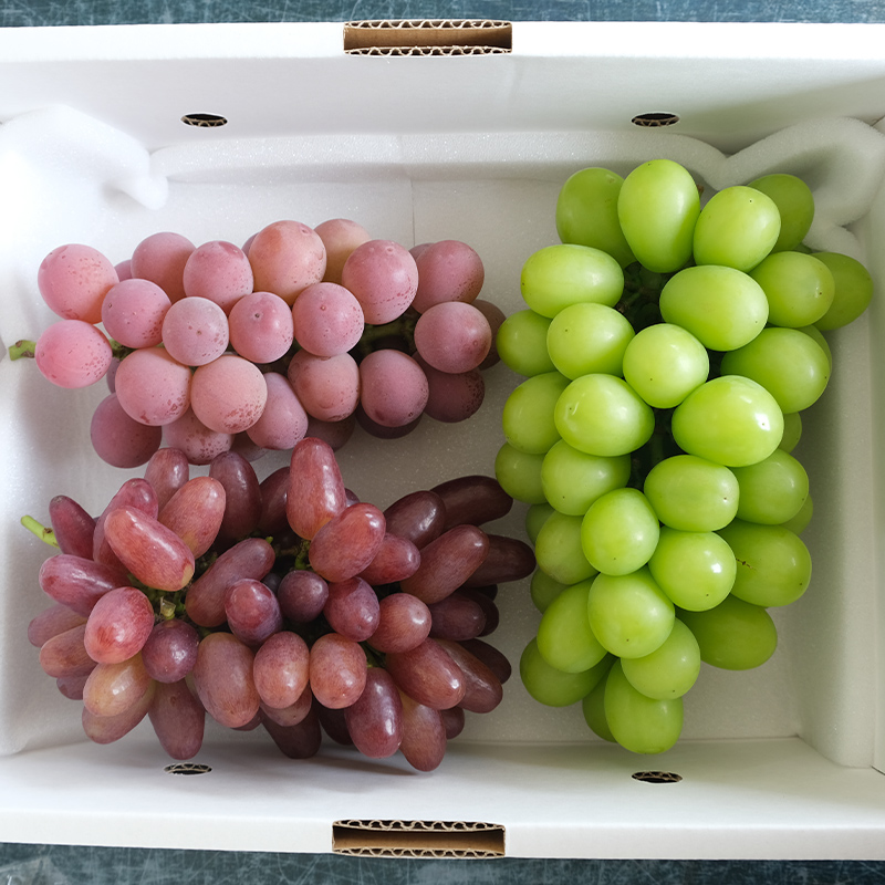 大人気！【こんのぶどう園】山形本沢産 高級ぶどう 3種食べくらべA 秀以上 約2kg 【令和8年産先行予約】FU22-339