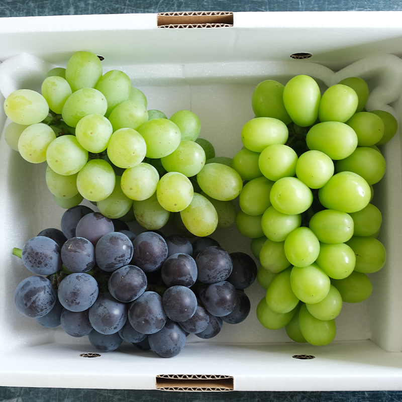 大人気！【こんのぶどう園】山形本沢産 高級ぶどう 3種食べくらべB 秀以上 約2kg 【令和8年産先行予約】FU22-338