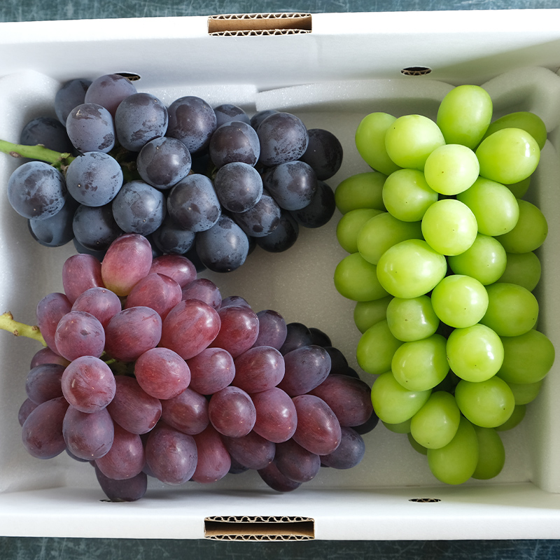 大人気！【こんのぶどう園】山形本沢産 高級ぶどう 3種食べくらべC 秀以上 約2kg 【令和8年産先行予約】FU22-337