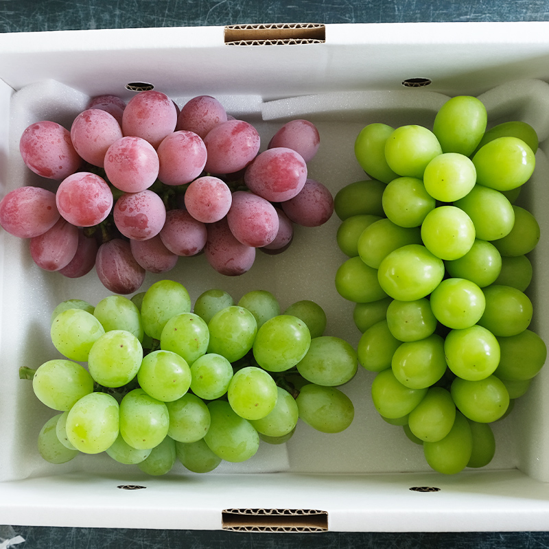 大人気！【こんのぶどう園】山形本沢産 高級ぶどう 3種食べくらべD 秀以上 約2kg 【令和8年産先行予約】FU22-336