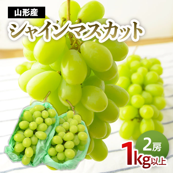 山形のぶどう シャインマスカット 1kg以上(2房)[10月中旬～11月中旬お届け]【令和8年産先行予約】FS24-574