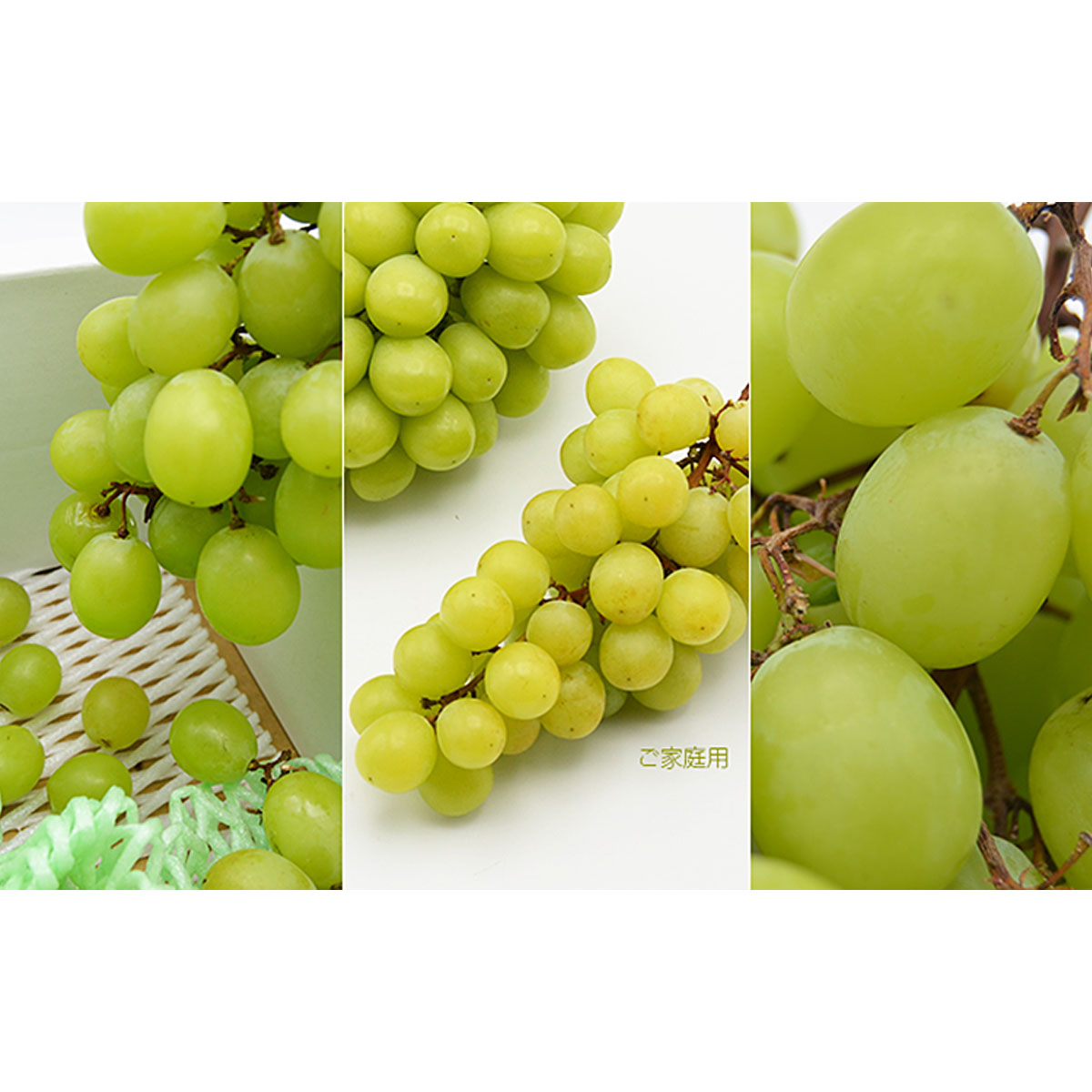 【ご家庭用】山形のシャインマスカット 優品 約2kg(2～6房)[10月中旬～11月中旬発送]【令和8年産先行予約】FS24-577