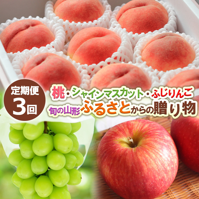 【定期便3回】桃・シャインマスカット・ふじりんご 旬の山形 ふるさとからの贈り物 【令和8年産先行予約】FS24-716