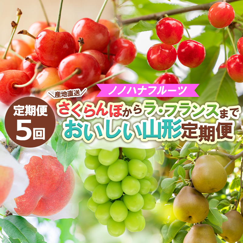 【定期便5回】ノノハナフルーツさくらんぼからラ・フランスまで 【産地直送】 おいしい山形定期便 【令和8年産先行予約】FS24-717