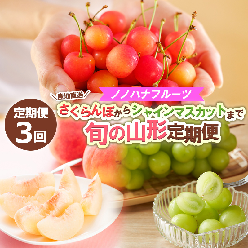 【定期便3回】ノノハナフルーツ さくらんぼからシャインマスカットまで【産地直送】 旬の山形定期便 【令和8年産先行予約】FS24-718