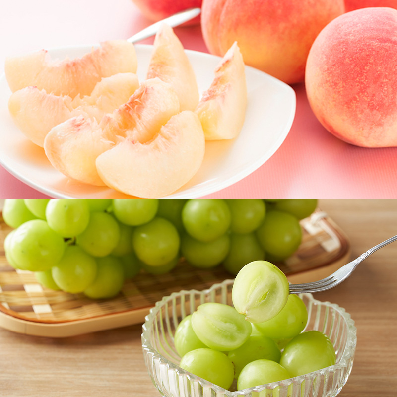 ãå®æäŸ¿6åããããããã«ãŒã ãããããŒããããããŸã§ ãç£å°çŽéã ãŸãããšå±±åœ¢å®æäŸ¿ ã什å8幎ç£å
è¡äºçŽãFS24-719