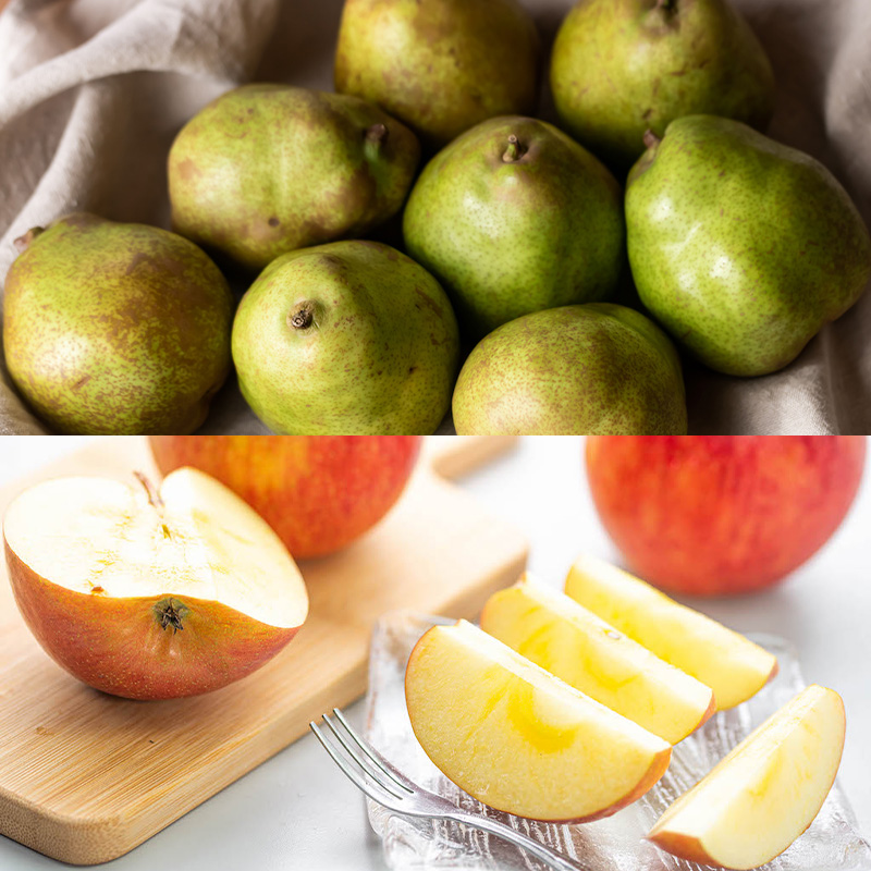 ãå®æäŸ¿6åããããããã«ãŒã ãããããŒããããããŸã§ ãç£å°çŽéã ãŸãããšå±±åœ¢å®æäŸ¿ ã什å8幎ç£å
è¡äºçŽãFS24-719