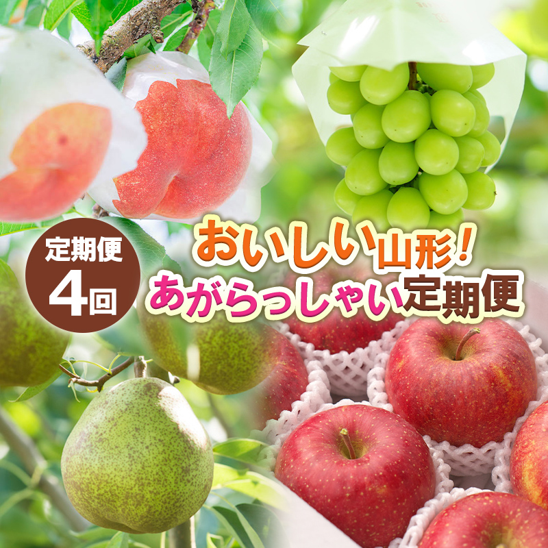 【定期便4回】おいしい山形！ あがらっしゃい定期便 【令和8年産先行予約】FS24-721