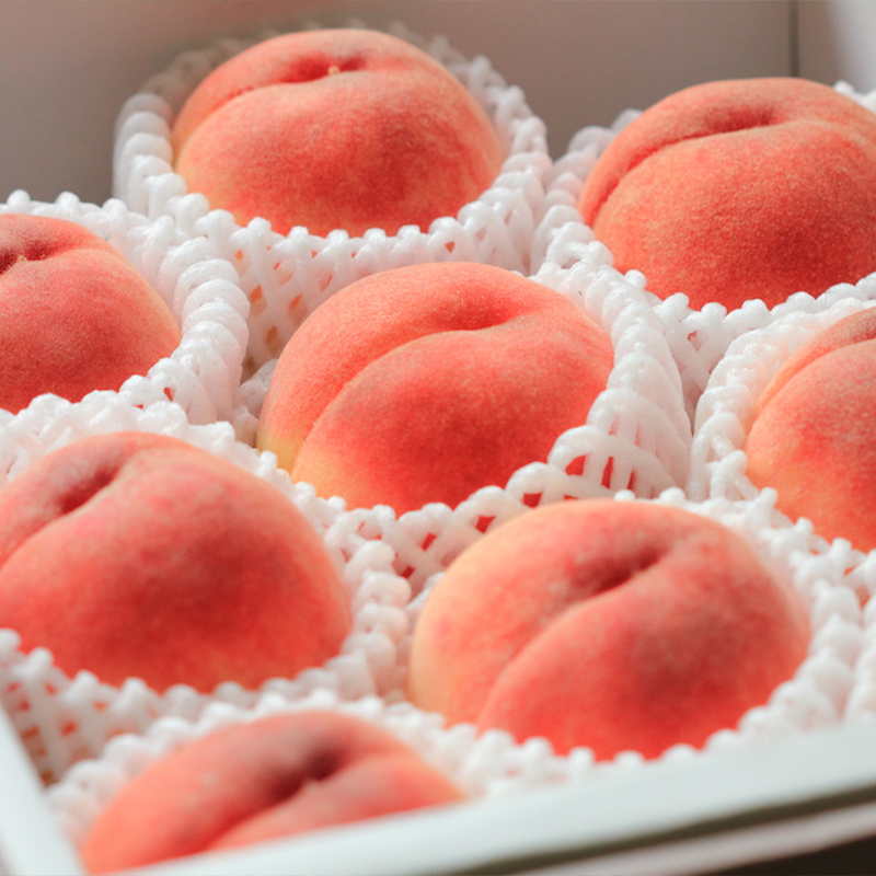 【定期便4回】おいしい山形！ あがらっしゃい定期便 【令和8年産先行予約】FS24-721