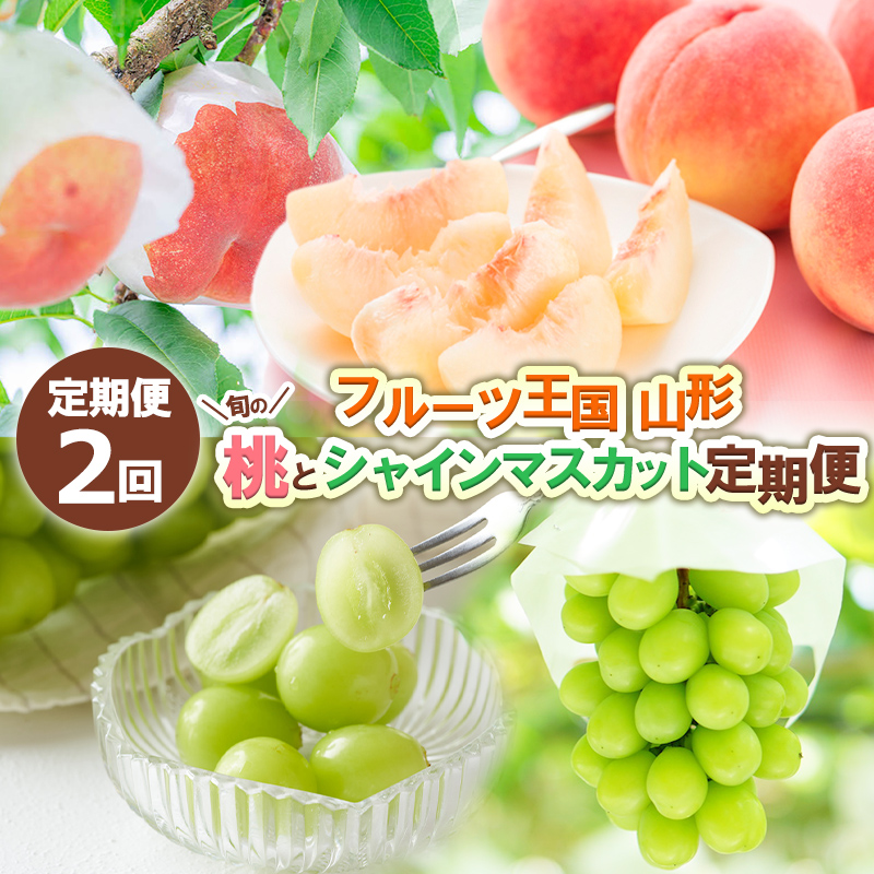 【定期便2回】フルーツ王国山形 旬の桃とシャインマスカット定期便 【令和8年産先行予約】FS24-723