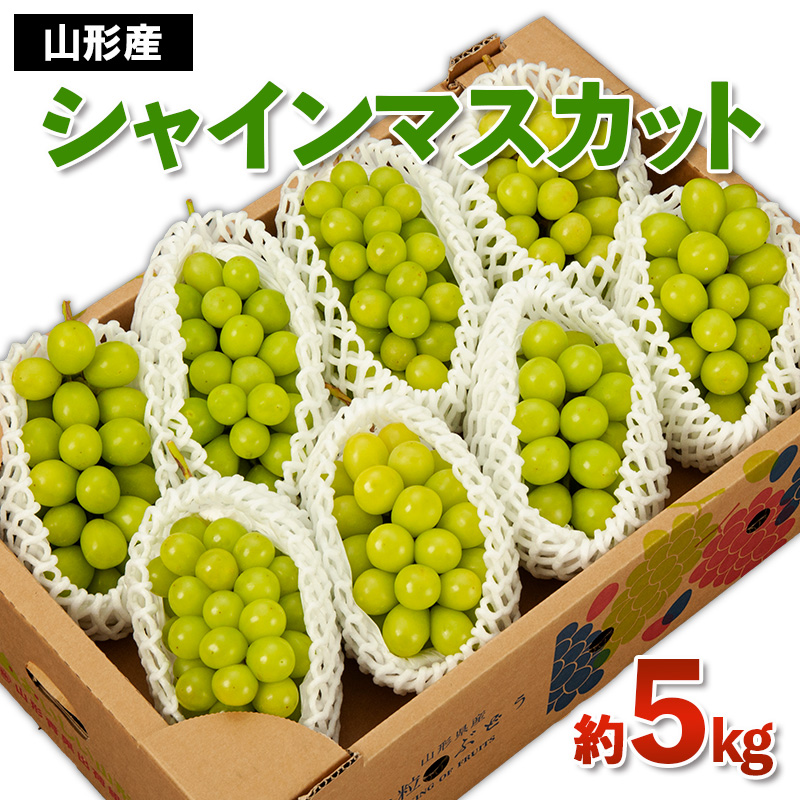 山形産 シャインマスカット 秀 約5kg 【令和8年産先行予約】FS24-748