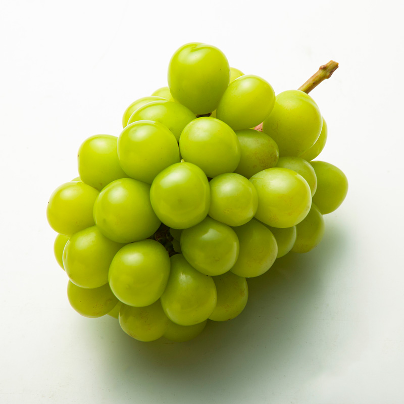 山形産 シャインマスカット 秀 約5kg 【令和8年産先行予約】FS24-748