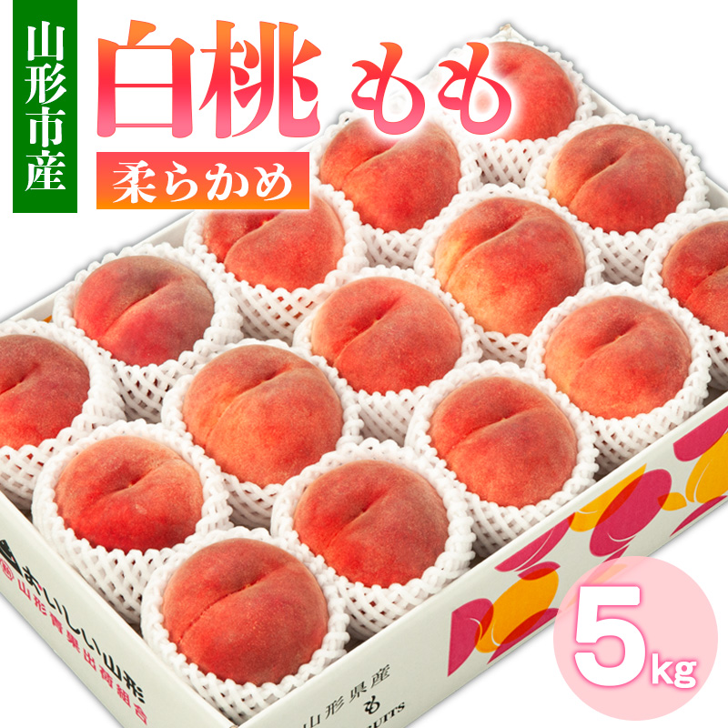 山形市産 白桃 もも 5kg 柔らかめ(10～16玉) 【令和8年産先行予約】FS24-752