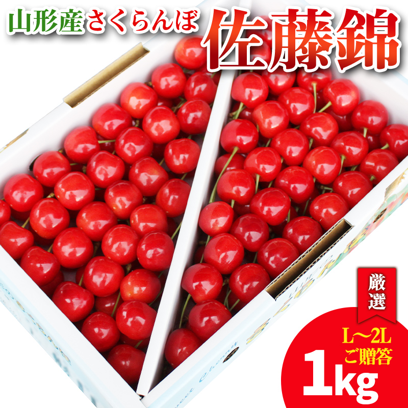 【厳選 ご贈答 バラ詰め】本場 山形産 さくらんぼ 佐藤錦 1kg(L～2Lサイズ) 【令和8年産先行予約】 FS25-585