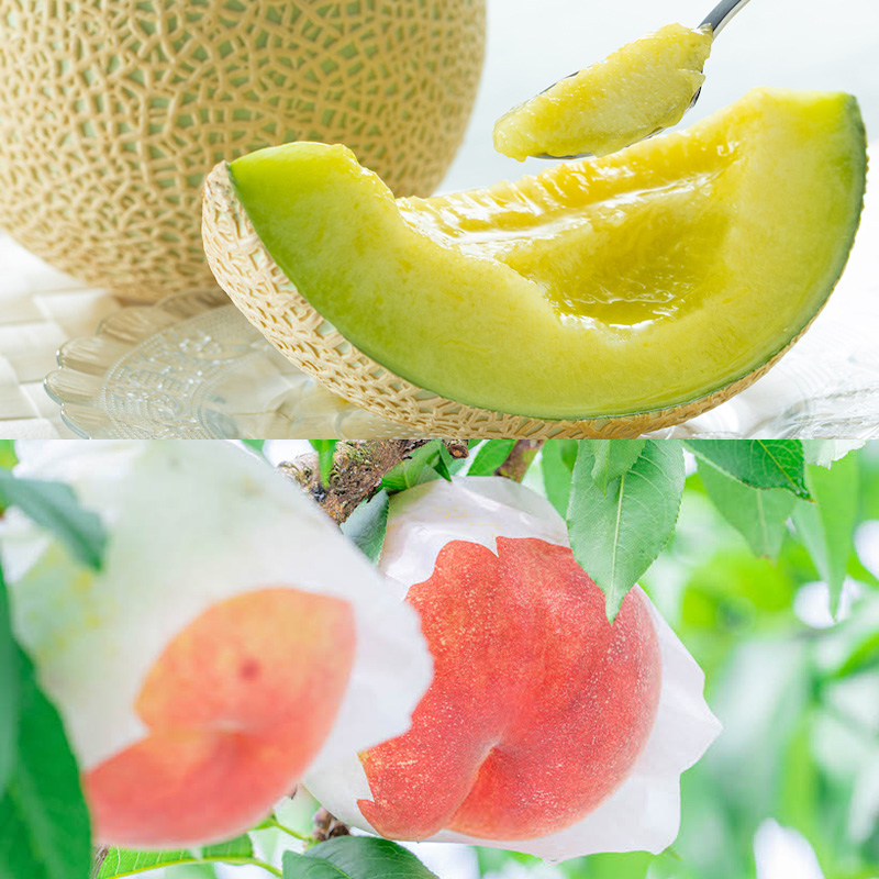 ãå®æäŸ¿8åããããããã«ãŒã ããŸããæ¬æŠå®æäŸ¿ ã什å8幎ç£å
è¡äºçŽãFS25-590