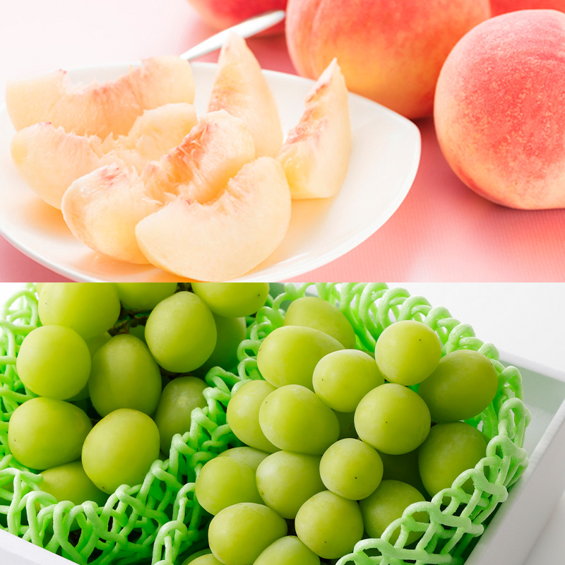 ãå®æäŸ¿8åããããããã«ãŒã ããŸããæ¬æŠå®æäŸ¿ ã什å8幎ç£å
è¡äºçŽãFS25-590