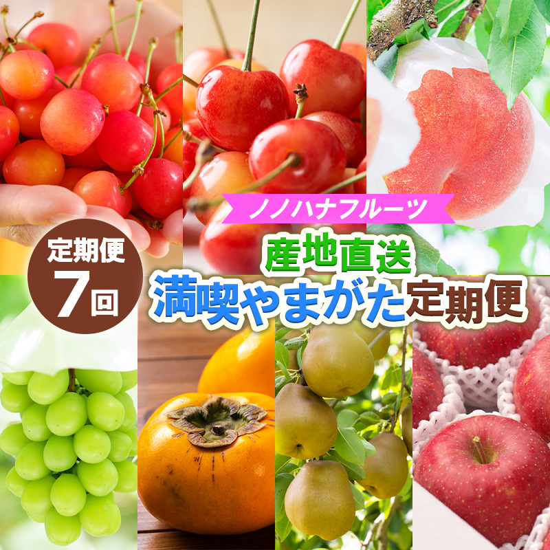【定期便7回】ノノハナフルーツ　【産地直送】　満喫やまがた定期便 【令和8年産先行予約】FS25-591