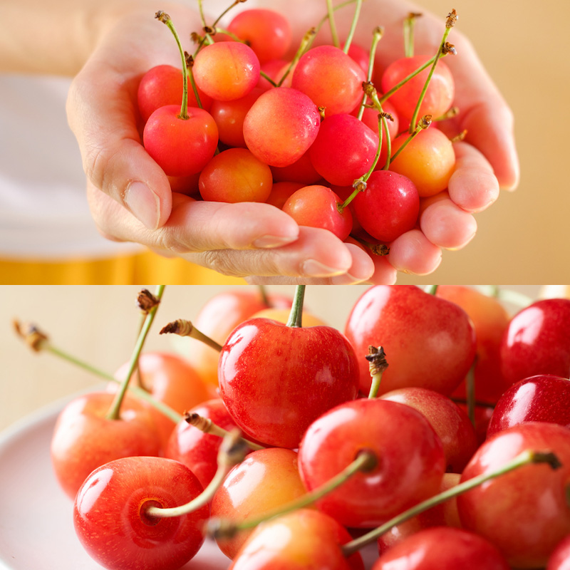 ãå®æäŸ¿7åããããããã«ãŒãããç£å°çŽéããæºå«ããŸããå®æäŸ¿ ã什å8幎ç£å
è¡äºçŽãFS25-591