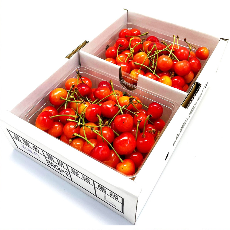 【定期便2回】赤い宝石！さくらんぼの楽園便 【令和8年産先行予約】FS25-625