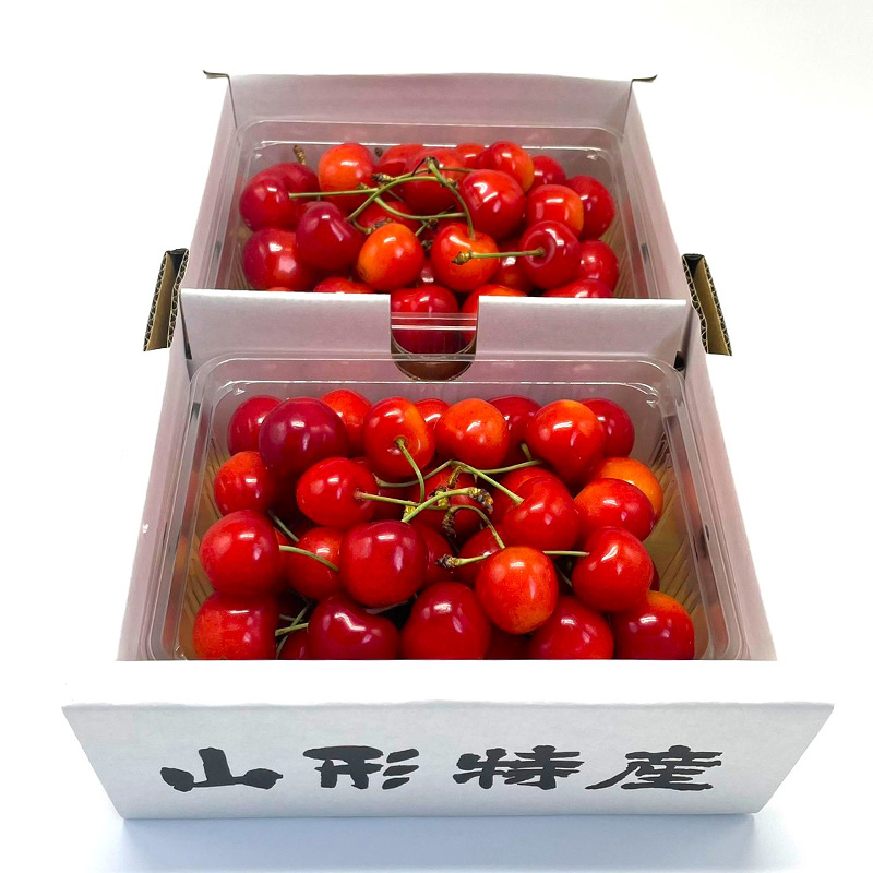 【定期便2回】赤い宝石！さくらんぼの楽園便 【令和8年産先行予約】FS25-625