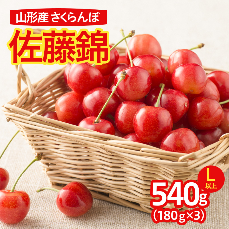 さくらんぼ 佐藤錦 540g(180g×3パック)L以上 フードパック 【令和8年産先行予約】FS25-638