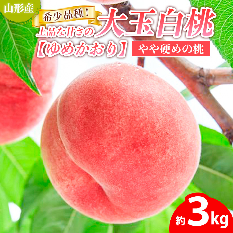 希少品種！！上品な甘さの大玉白桃【ゆめかおり】約3kg [やや硬めの桃] 【令和8年産先行予約】 FS25-650