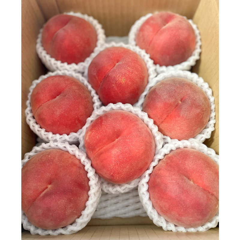 希少品種！！上品な甘さの大玉白桃【ゆめかおり】約3kg [やや硬めの桃] 【令和8年産先行予約】 FS25-650